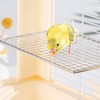 Parrot Cage Stand - Stainless Steel Parrot Perch Shelf -