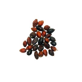 Whole Rosehips | Wild Harvest from Eastern Europe