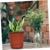 BESPORTBLE 50pcs Plastic Flowerpot Succulents Flower Pot Decorative Flower Pot