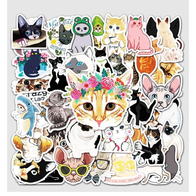 Stickers Waterproof, 100 Sheets, Helmet, Smartphone, Suitcase, Funny, PC, Skateboard,