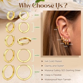 PATISORNA 5 Pairs Small Sterling Silver Hoop Earrings Set for Women, 18k Gold Plated Huggie Hoop Earrings Lightweight for Women Hypoallergenic Multiple Piercing