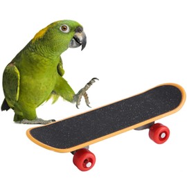 Mini Skateboard Bird Toy Pet Supplies Parrot Bird Standing Training Stress Relief Toy Educational Training Mini Toy