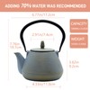 SECHUDO Teapot with Stainless Steel Infuser for Loose Tea, Cast