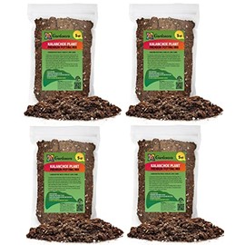 Gardenera Premium Kalanchoe Plant Potting Mix - 20 Quart - Elevate Your Plant Care Routine with The Perfect Blend of Natural Ingredients (4 Bags of 5 Quart)