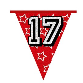 Boland 30017, Bunting, Multicolor