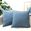Booque Valley Throw Pillow Covers, Pack of 2 Super Soft