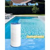 DAYEAR Swimming Pool Filter Cartridge 100 Sq. Ft. (1 Pack)