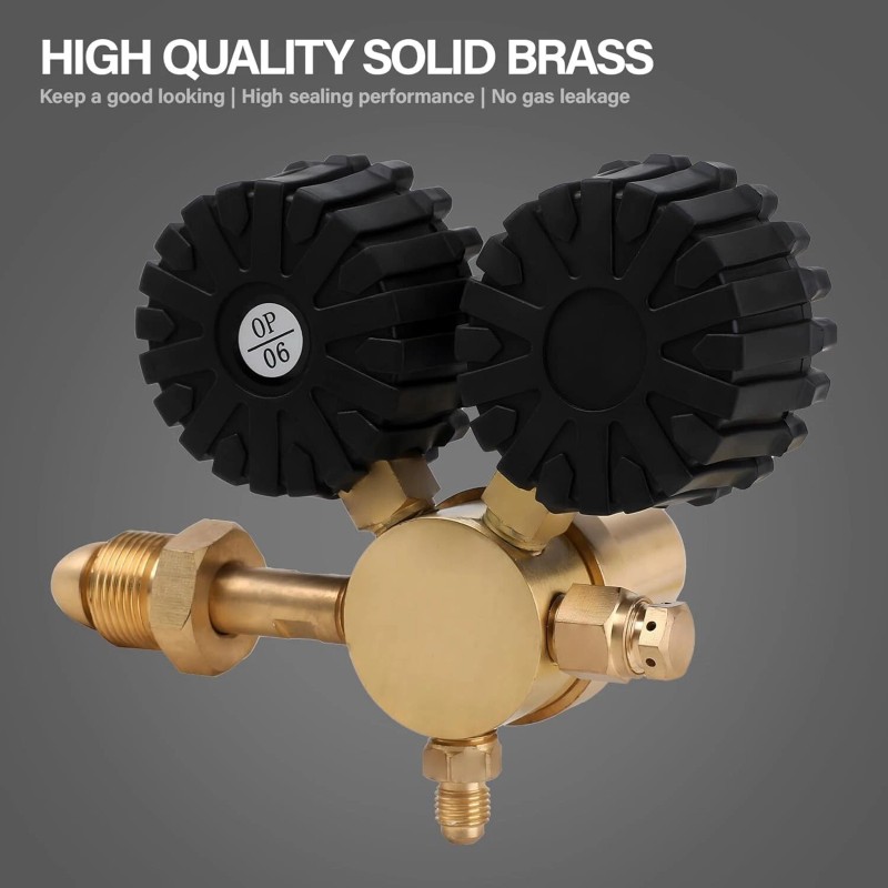 Unbranded Professional Nitrogen Regulator w/ Hose 0-800 PSI Output Pressure