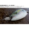 高輝度フラッシング スプーン 「Diamond Cicada ダイヤモンドシカーダ」（ ゴールド, 20g）［ ショアジギング ワラサ ヒラメ
