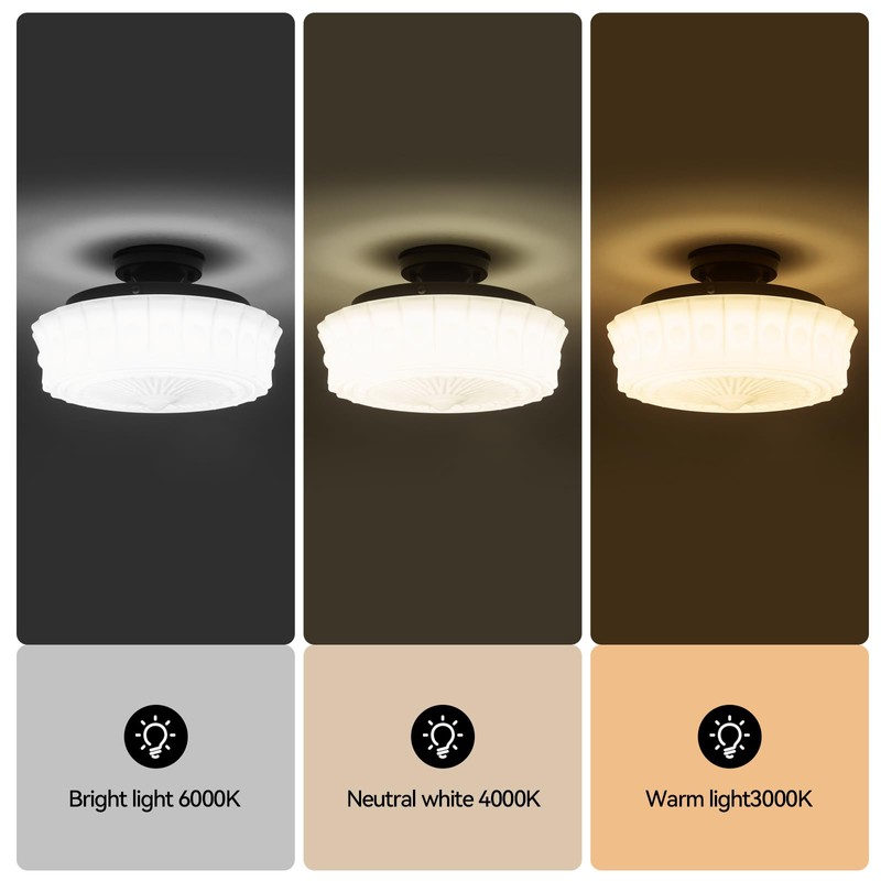 youngrender Schoolhouse Light Fixture Modern Black Flush Mount Ceiling Lighting