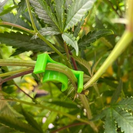 Smallwoods TS* Low Stress Trainer Clips (LST) 90 Degree Plant Training to Manipulate Growth, Plant Stem Trainer/Bender, Replace Trellis Net, Made in USA! (Red Mini/Clone&Seedling 30PK)