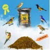 Raff Universal Bird food for insectivorous birds (5 Lb)