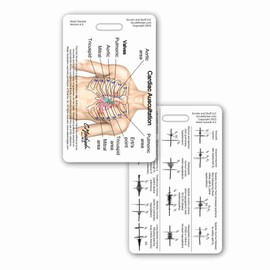 Heart Sounds Diagram Vertical Badge Reference Card (1 Card)