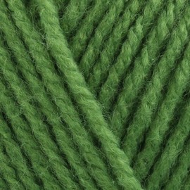 Stylecraft Special DK 100g (Leaf 2176)