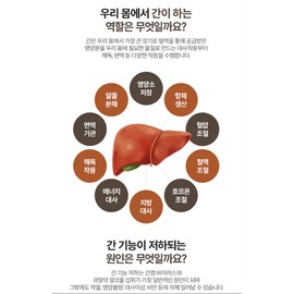 Milk thistle efficacy nutritional supplement is good for the liver, about 1 month / 밀크씨슬 효능 영양제 간에좋은 약1개월