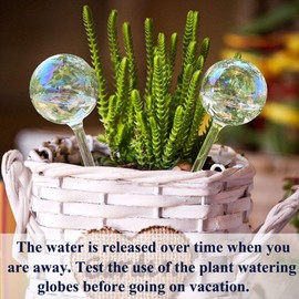 Logresy 2pcs Glass Plant Watering Globes, Clear Rainbow Color Flower Self-Watering System Spikes, Automatic Plant Waterer Bulbs for Indoor & Outdoor Plants Everyday Use