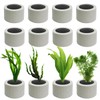 JoyHuaTrade 12 PCS Aquarium Plant Weight Ceramic Ring with Black Sponge, Aquarium Plant Weights Pot Anti Floating for Fish Tank Water Plant Landscape Decoration Accessories