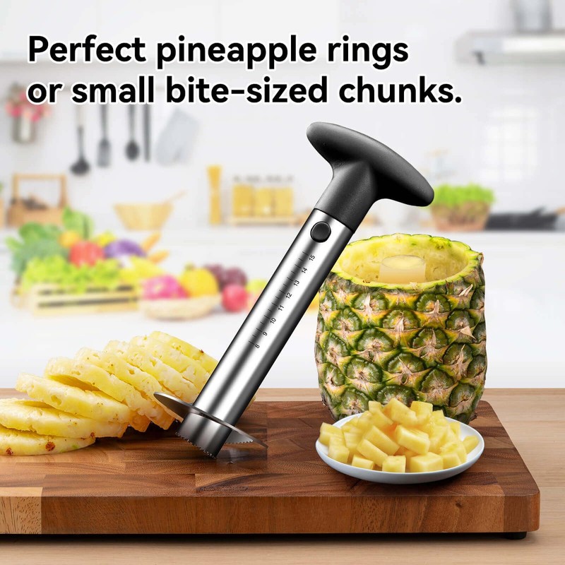 Pineapple Cutter and Corer Tool, Stainless Steel Pineapple Slicer Peeler,