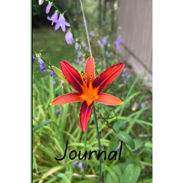 Tiger Lily Writing Journal: 100 page book