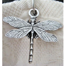 Norma Jean Designs 12 Dragonfly Shower Hook Add-on - Antique Silver Electroplate Finish Free Roller Bead Chrome Shower Curtain Hooks with Purchase