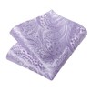 DiBanGu Mens Tie and Lapel Pin Set Silk Lilac Paisley
