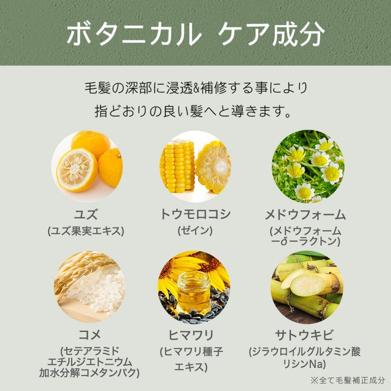 Botanist Botanical Damage Care Treatment, 17.2 oz (490 g)