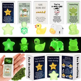 Cinnvoice 75 Sets Affirmation Mini Luminous Resin Appreciation Gift Box Breathing Gift Bulk for Coworker Emotional Mental Health Care Support Gift for Team Xmas, Turtle, Duck, Cow, Star