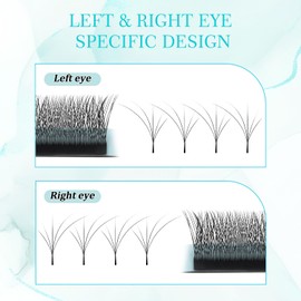 Flying 5D W Clover Lash Extensions 0.07 C Curl 10-15mm Premade Fan