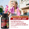 Mullein Leaf Capsules 𝟓𝟕𝟓𝟎𝐦𝐠 Strength w. Quercetin, Artemisinin, Quinine -