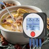 WT308B BT Meat Thermometer Smart Food Thermometer with Wireless Remote