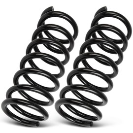 AUTOMUTO 2PCS Rear Suspension Coil Spring Set Compatible with 2002-2007 for Saturn Vue - Replace 81393 Coil Springs