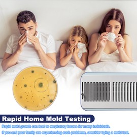 Mold Test Kit for Home Air Quality - Mold Toxicity Test for HVAC, at Home Mold Test Kit, Mold Detector for Home Air Quality - Black Mold Testing Kit Air with Guide and Lab Support 15PCS