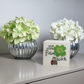 Ladybird Wooden Money Box with Saying "Deine extra Portion Glück Glücksbringer Klee Mushroom" Health Wishes Spring Greetings as a Gift