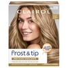 Clairol Nice 'n Easy Frost & Tip Original