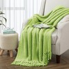 BYTIDE Throw Blanket for Couch Soft Knitted Textured Couch Cover Green Tweed Blanket with Fringe Tassel for Home Décor Bed Sofa Chair, 50" x 60", Lettuce Green