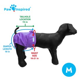 Paw Inspired Washable Dog Diapers | Reusable Dog Diapers | Female Dog Diapers | Absorbent Dog Diapers | Doggie Diaper | 3 Pc | Multiple Colors | Assorted (White Lining) | Medium