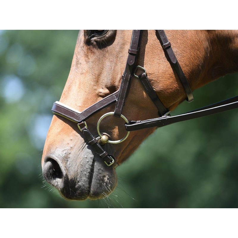 BUSSE Trense FEELING