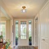 Luafac Vintage Glass Flush Mount Ceiling Light - 2 Pack，7.9