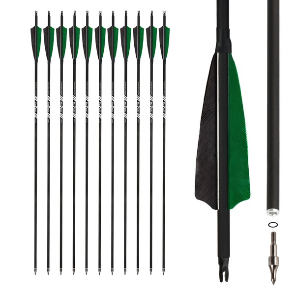 The7boX 31 Inch Carbon Archery Arrows 12 Pieces with Real Turkey Feather for Classic Long Bow and Traditional Bows