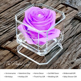 Eternal Petals A 100% Real Rose That Lasts Years, Handmade in UK – White Gold Solo with A Multicolor Crystal (Lilac)