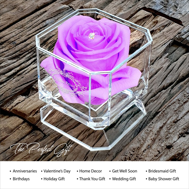 Eternal Petals A 100% Real Rose That Lasts Years, Handmade