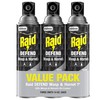 Raid Wasp & Hornet Killer Spray (14 Ounce (Pack of
