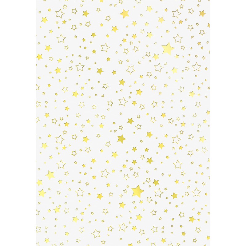 Cardboard Pad "Stars" Gold/Silver, DIN A4