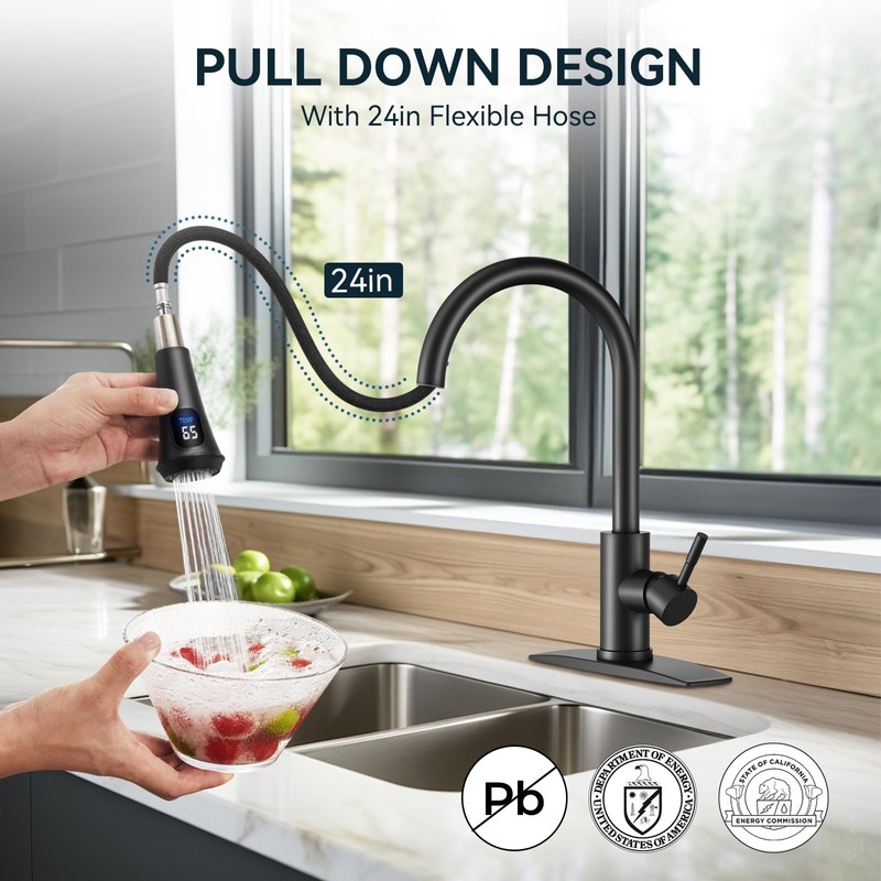 FORIOUS Black LED Kitchen Faucet with Pull Down Sprayer, High