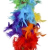 Rhode Island Novelty 6 Foot 60g Rainbow Feather Boa, One