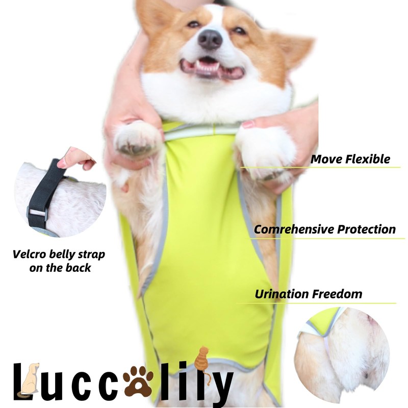 Luccalily Dog Rain Jacket with Hood for Small Medium Dog,Waterproof