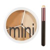 3-Shade Cream Concealer Palette - Full Coverage Correct & Conceal