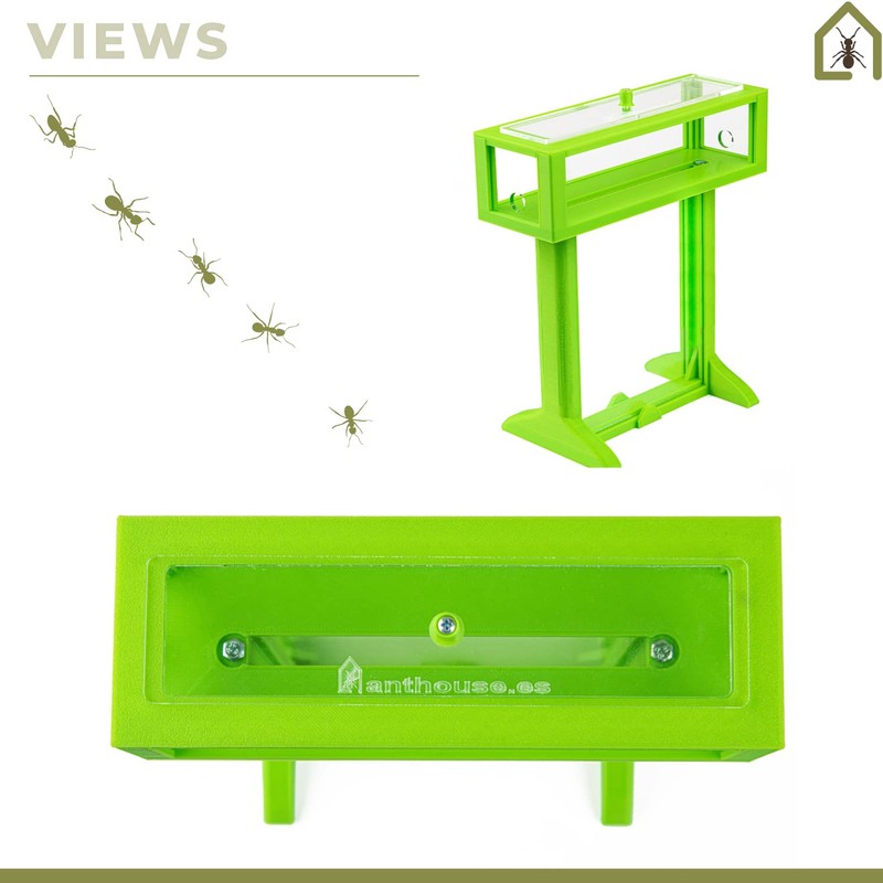 AntHouse - 3D Ant Farm Made of Sand | Red