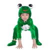 LOLANTA Unisex Kids Frog Costume, Animal Fancy Dress Bodysuits with