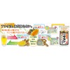 Japan Gals 3 Kinds of Turmeric Legends 270 mg x